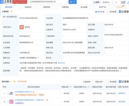 社會經濟咨詢服務 推動企業(yè)和區(qū)域發(fā)展的隱形引擎